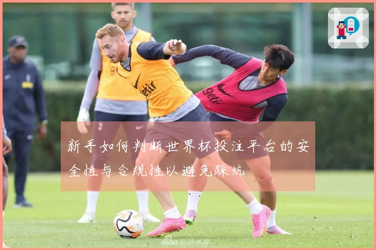 新手如何判断世界杯投注平台的安全性与合规性以避免踩坑