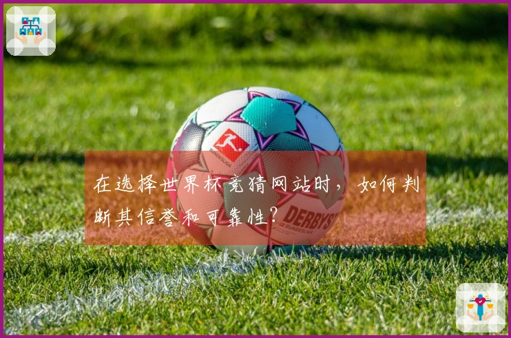 在选择世界杯竞猜网站时，如何判断其信誉和可靠性？