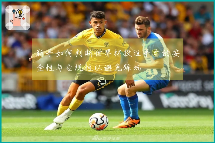 新手如何判断世界杯投注平台的安全性与合规性以避免踩坑