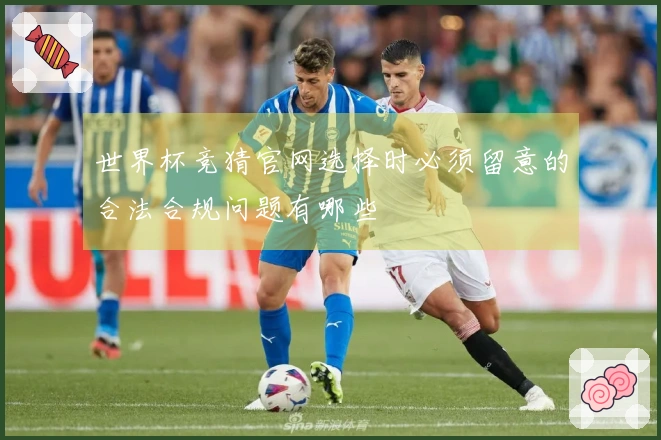 世界杯竞猜官网选择时必须留意的合法合规问题有哪些