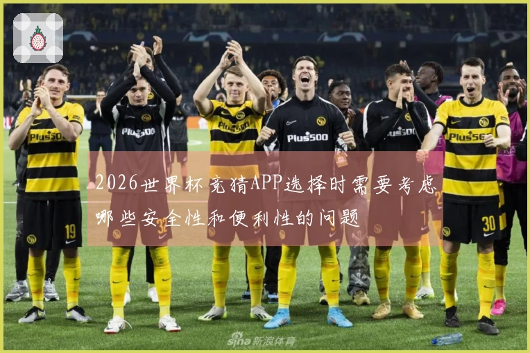 2026世界杯竞猜APP选择时需要考虑哪些安全性和便利性的问题