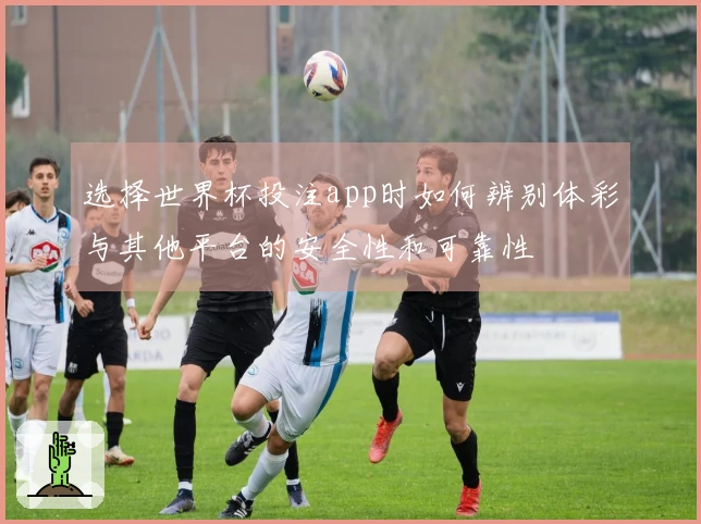 选择世界杯投注app时如何辨别体彩与其他平台的安全性和可靠性