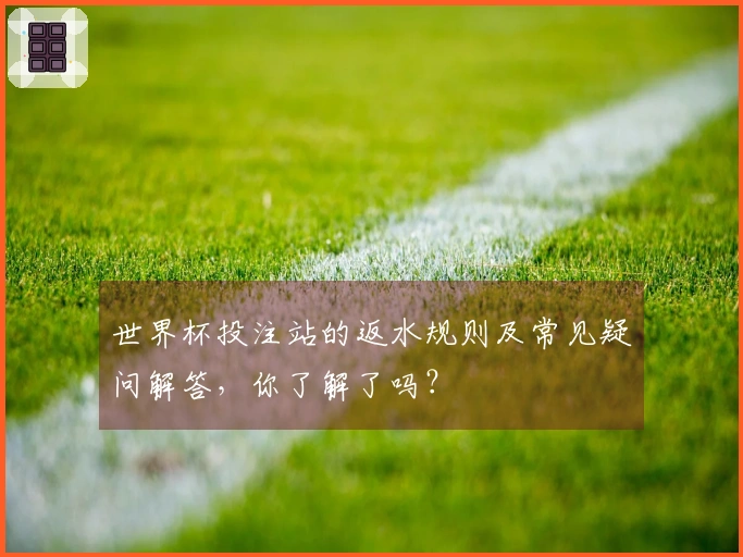 世界杯投注站的返水规则及常见疑问解答，你了解了吗？