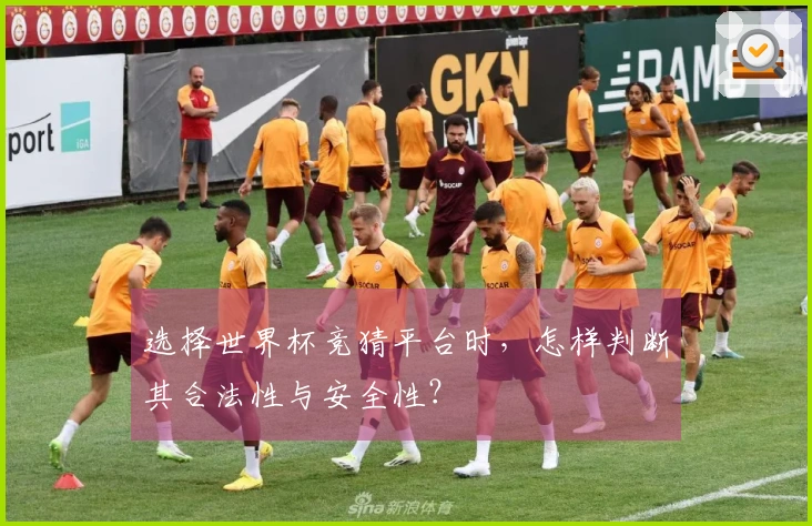 选择世界杯竞猜平台时，怎样判断其合法性与安全性？