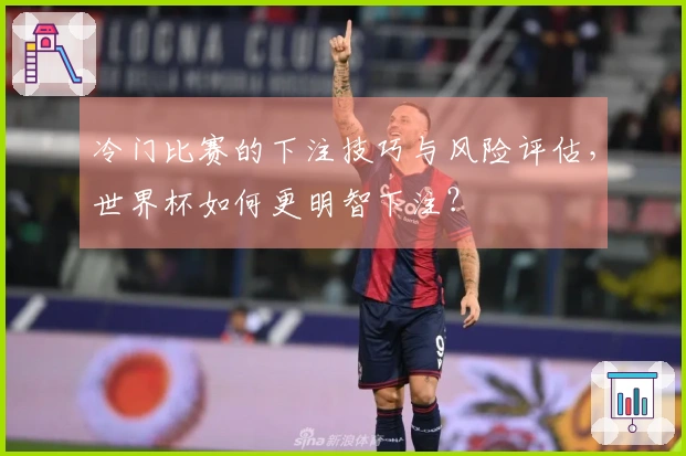 冷门比赛的下注技巧与风险评估，世界杯如何更明智下注？