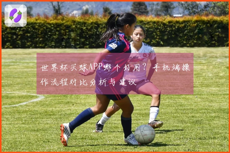 世界杯买球APP哪个好用？手机端操作流程对比分析与建议