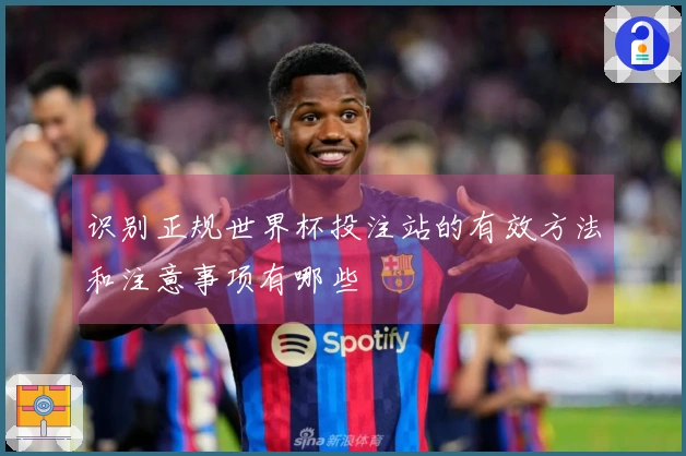 识别正规世界杯投注站的有效方法和注意事项有哪些