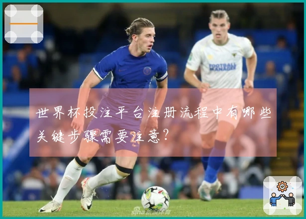 世界杯投注平台注册流程中有哪些关键步骤需要注意？