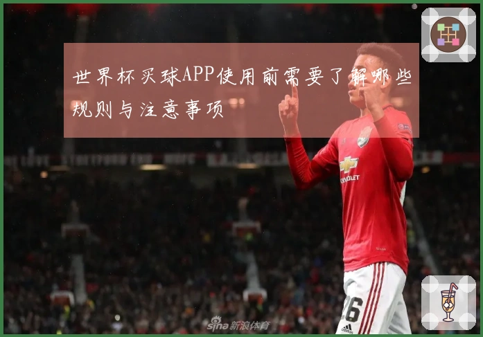 世界杯买球APP使用前需要了解哪些规则与注意事项