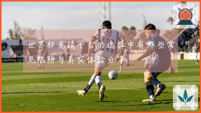 世界杯竞猜平台的选择中有哪些常见陷阱与真实体验分享