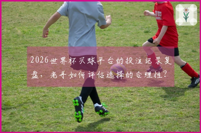 2026世界杯买球平台的投注记录复盘，老手如何评估选择的合理性？