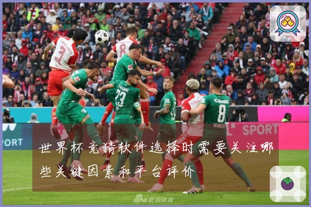 世界杯竞猜软件选择时需要关注哪些关键因素和平台评价