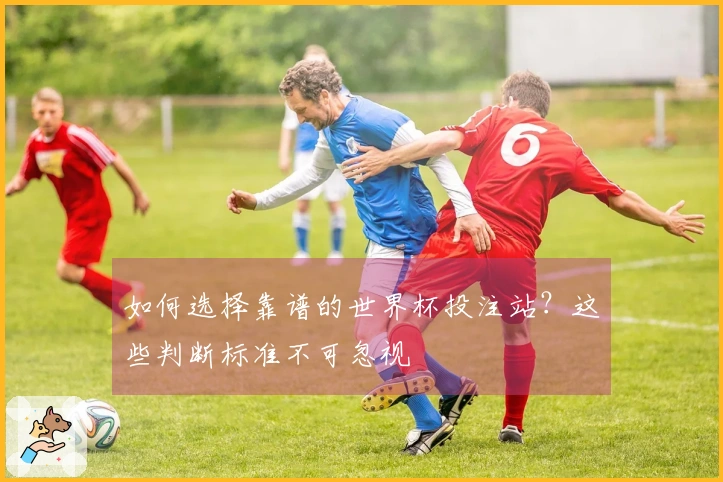 如何选择靠谱的世界杯投注站？这些判断标准不可忽视