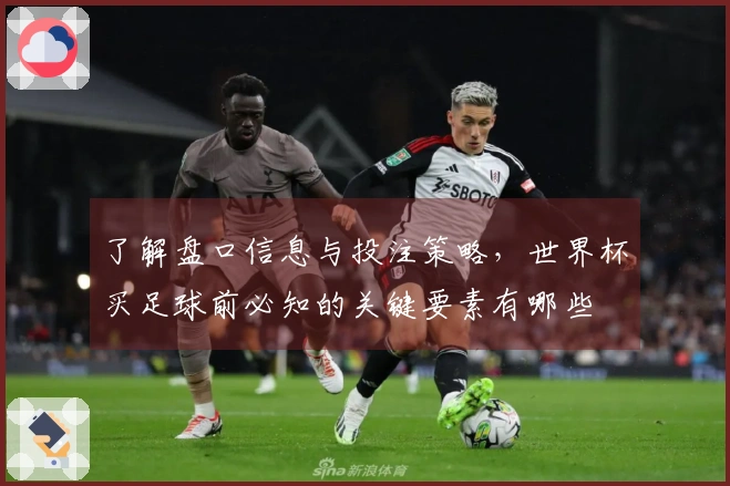了解盘口信息与投注策略，世界杯买足球前必知的关键要素有哪些