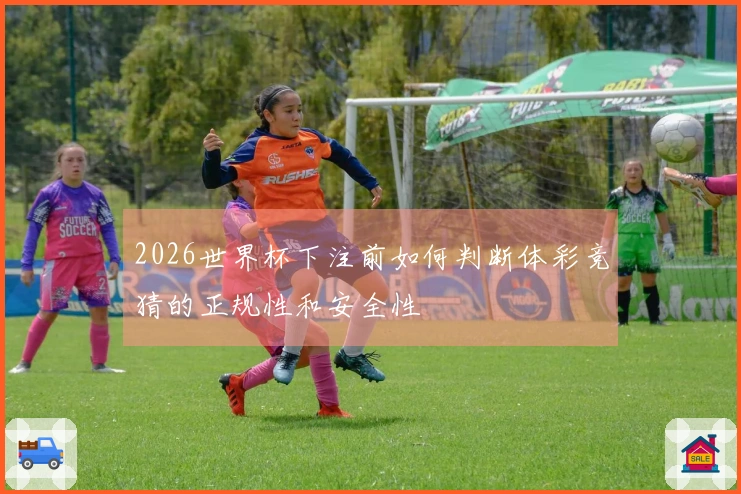 2026世界杯下注前如何判断体彩竞猜的正规性和安全性