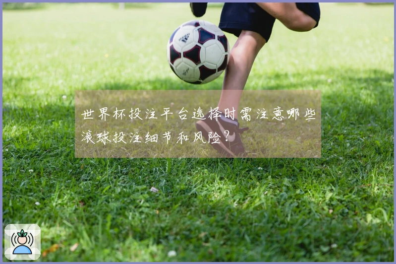 世界杯投注平台选择时需注意哪些滚球投注细节和风险？