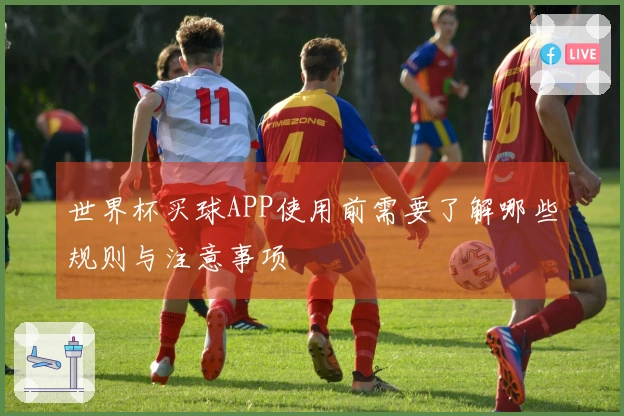 世界杯买球APP使用前需要了解哪些规则与注意事项