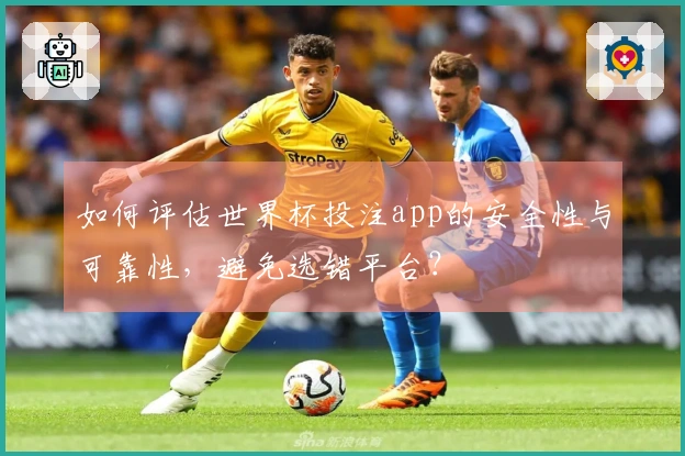 如何评估世界杯投注app的安全性与可靠性，避免选错平台？
