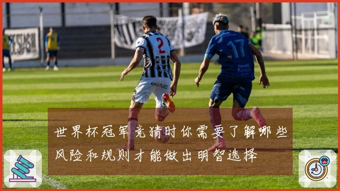 世界杯冠军竞猜时你需要了解哪些风险和规则才能做出明智选择