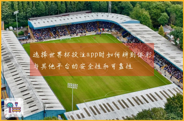 选择世界杯投注app时如何辨别体彩与其他平台的安全性和可靠性
