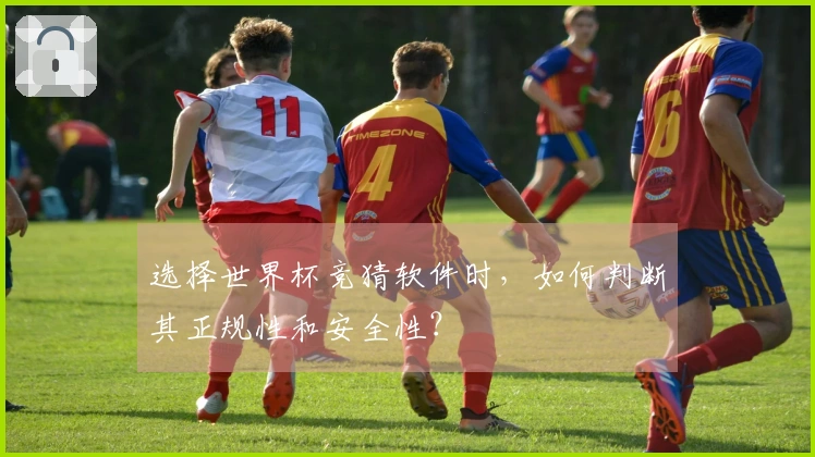选择世界杯竞猜软件时，如何判断其正规性和安全性？