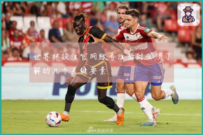 世界杯投注官网账号注册时必须了解的几个关键要素