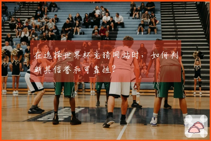 在选择世界杯竞猜网站时，如何判断其信誉和可靠性？