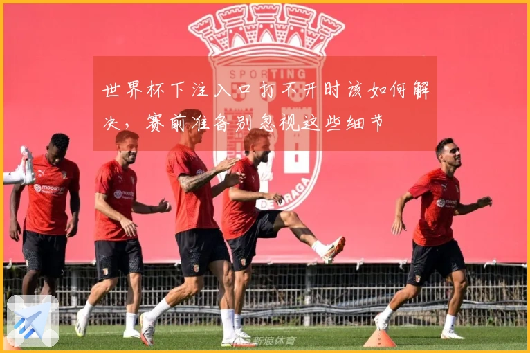 世界杯下注入口打不开时该如何解决，赛前准备别忽视这些细节