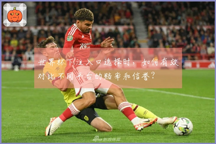 世界杯下注入口选择时，如何有效对比不同平台的赔率和信誉？
